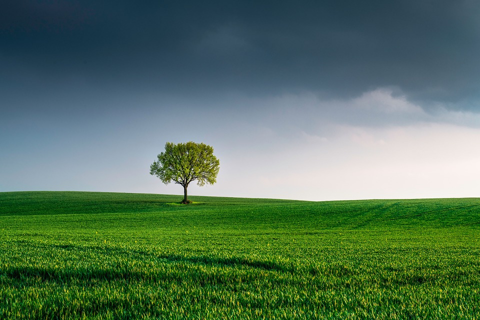 Paisaje verde que representa el ahorro energético y la reducción de huella de carbono con variadores TWERD
